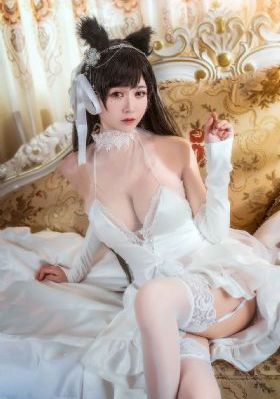 一条狗的使命_影音先锋资源